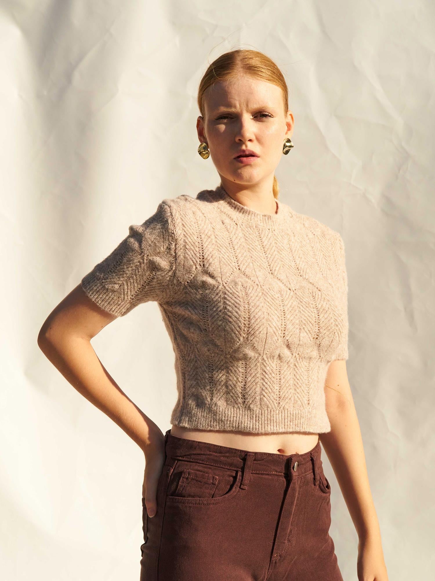 Crew Neck Short Sleeve Openwork Knit Sweater - Beige - Lefon - by Peralane - photo 6