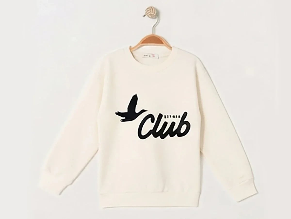 Boys' Crew Neck Sweatshirt with Bird Print - Pack of 4 - Ruhat Kids - by Peralane