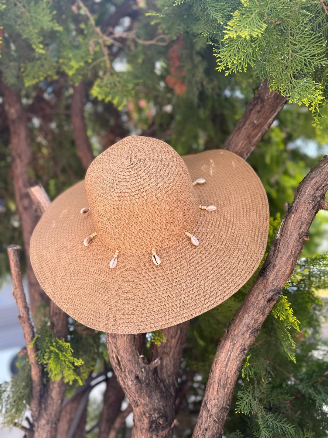 Wide Brim Woven Straw Hat with Shell Trim - Nesvay - by Peralane
