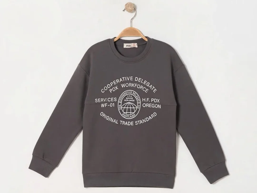 Workforce Printed 3-Thread Brushed Boys' Sweatshirt - Dark Grey - Ruhat Kids - by Peralane