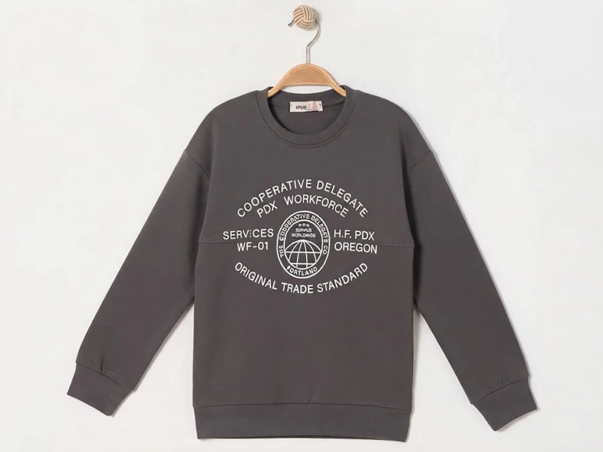 Workforce Printed 3-Thread Brushed Boys' Sweatshirt - Ruhat Kids - by Peralane