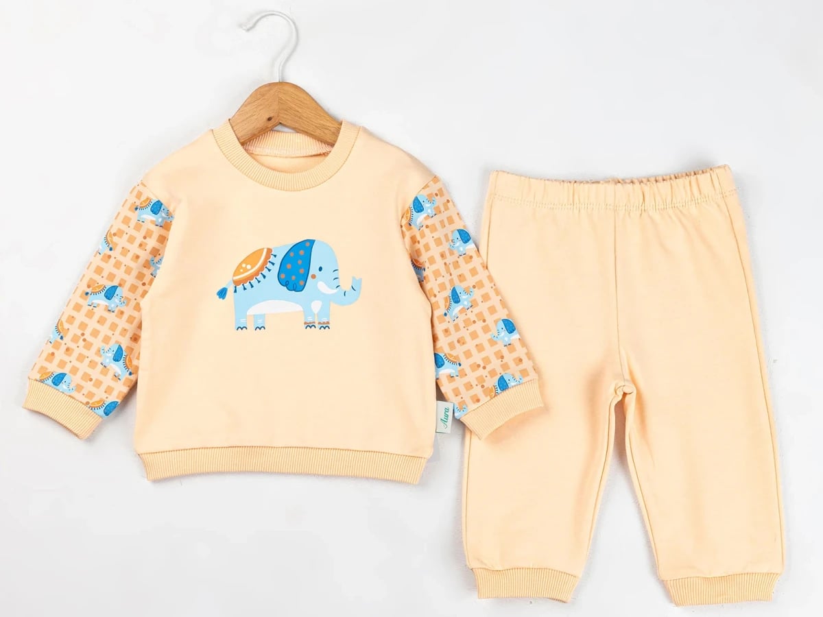 Baby Boys Elephant Print Sweatshirt and Pants Set - Peach - Comix - by Peralane