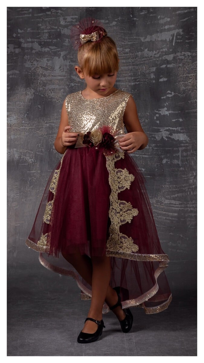 Girl's Sequin Trim Tulle Dress with Lace Appliqué - Burgundy and Purple - Tivido - by Peralane
