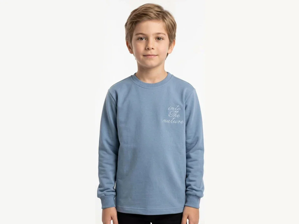 Boys' Blue Crewneck Sweatshirt with Nature Print - Pack of 4 - Tanem Kids - by Peralane