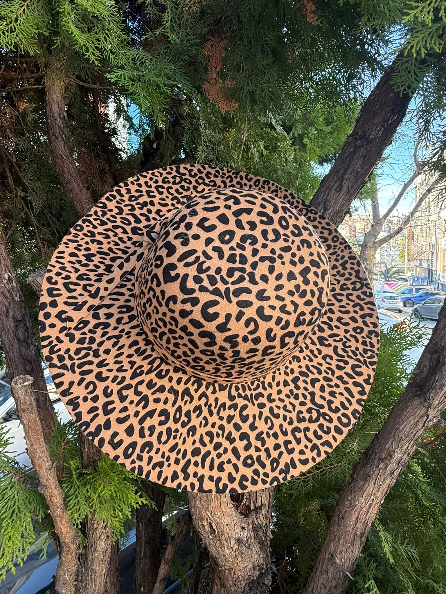 Leopard Print Wide Brim Hat for Women - Nesvay - by Peralane - photo 3