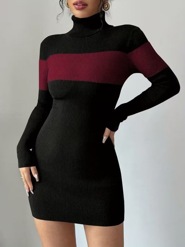 Women's Long-Sleeve Turtleneck Two-Tone Knit Dress - Janes - by Peralane