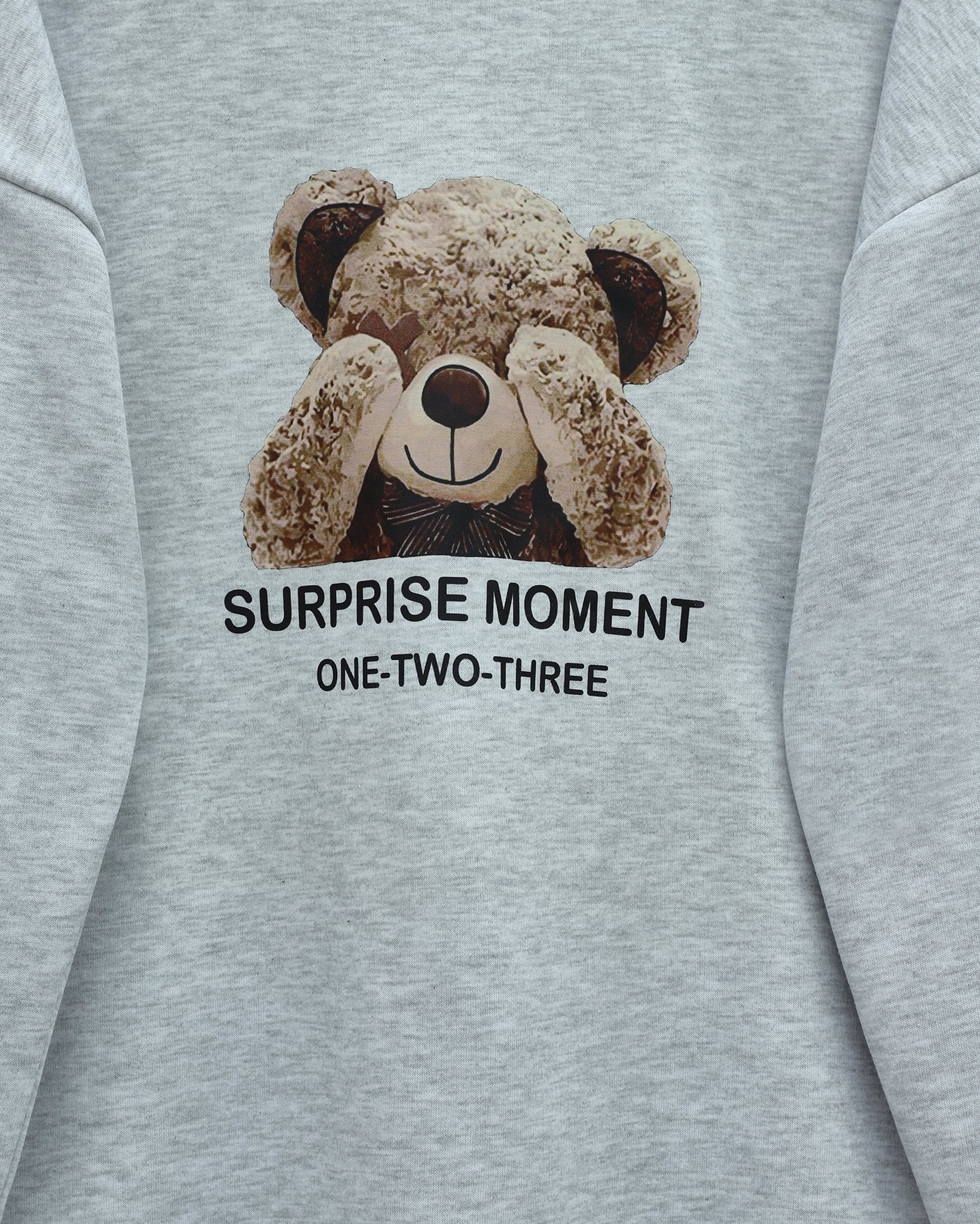 Teddy Bear Print Brushed 3-Thread Sweatshirt and Trousers Set - Light Grey - Podyumplus - by Peralane - photo 5