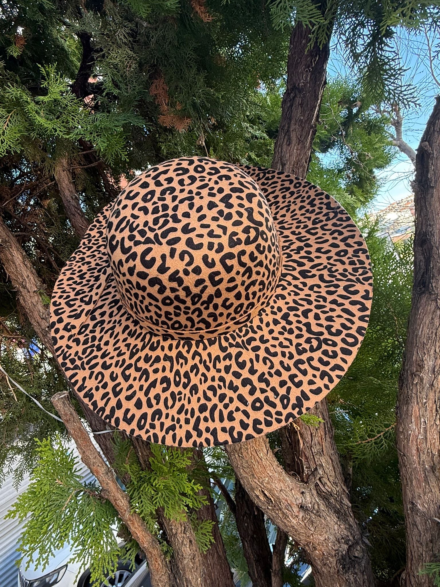 Leopard Print Wide Brim Hat for Women - Nesvay - by Peralane