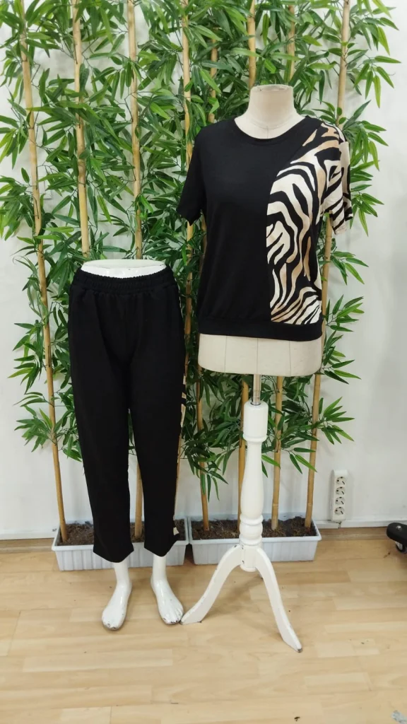 Women's Crew Neck Short Sleeve Zebra Print Blouse and Trousers Two-Piece Set - Janes - by Peralane - photo 4