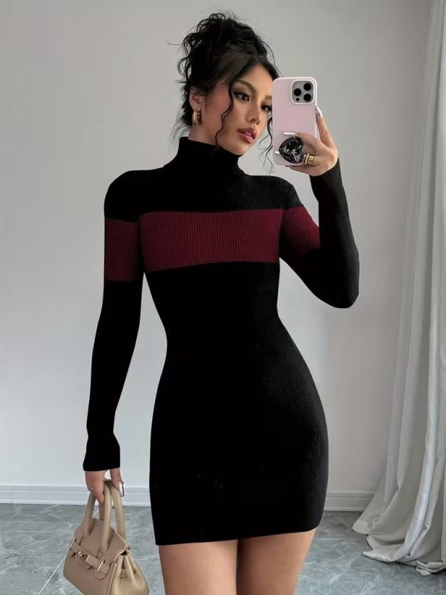 Women's Long-Sleeve Turtleneck Two-Tone Knit Dress - Janes - by Peralane - photo 6