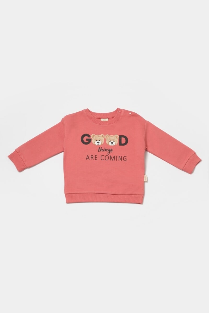 Unisex Baby Sweatshirt in Dusty Pink with Teddy Bear Print - Pack of 5 - Babycosy - by Peralane