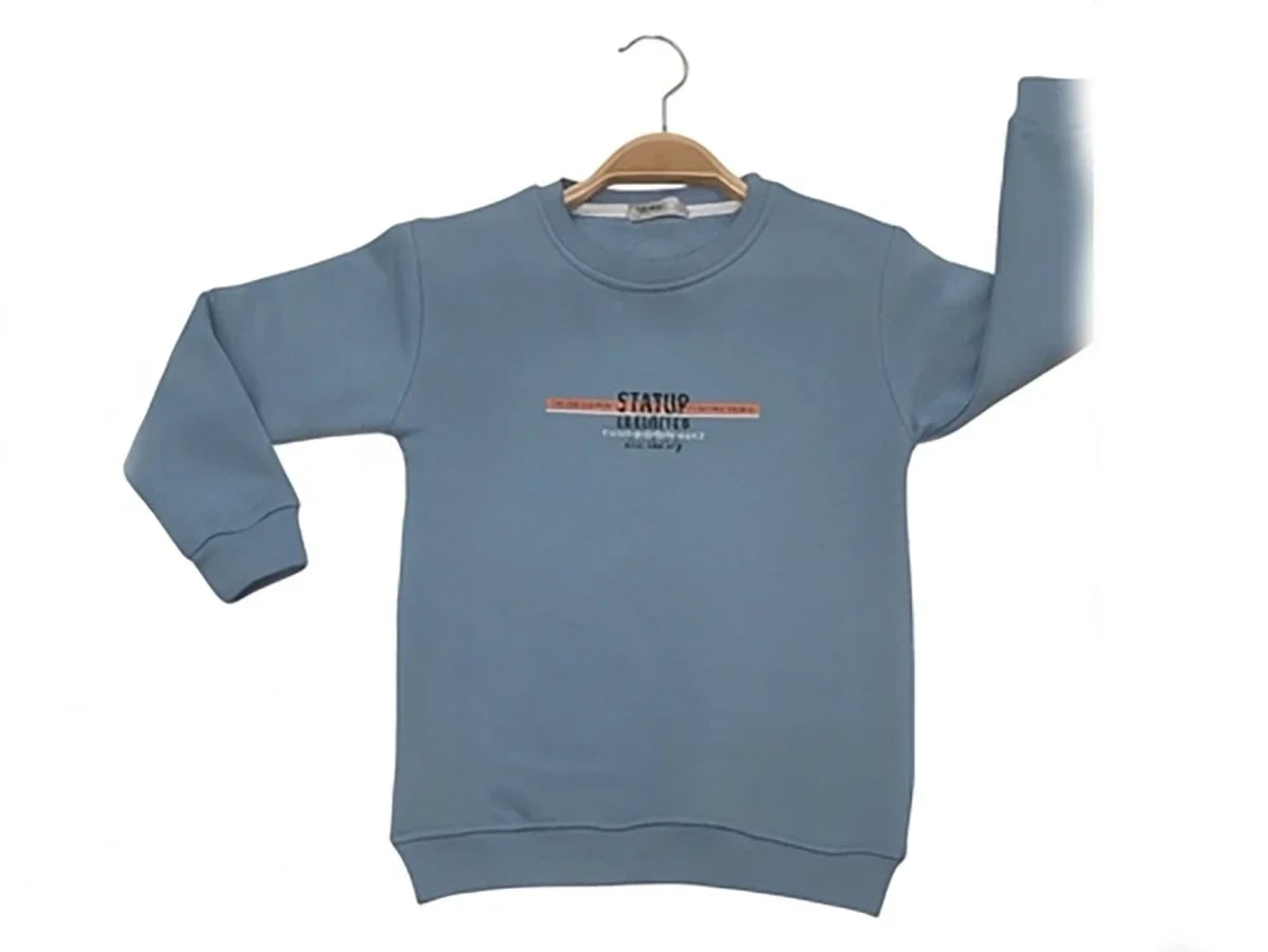 Boys' Printed Crewneck Sweatshirt - Light Blue - Tanem Kids - by Peralane