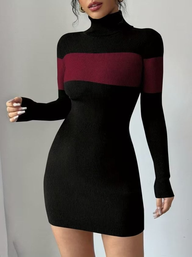Women's Long-Sleeve Turtleneck Two-Tone Knit Dress - Janes - by Peralane - photo 4