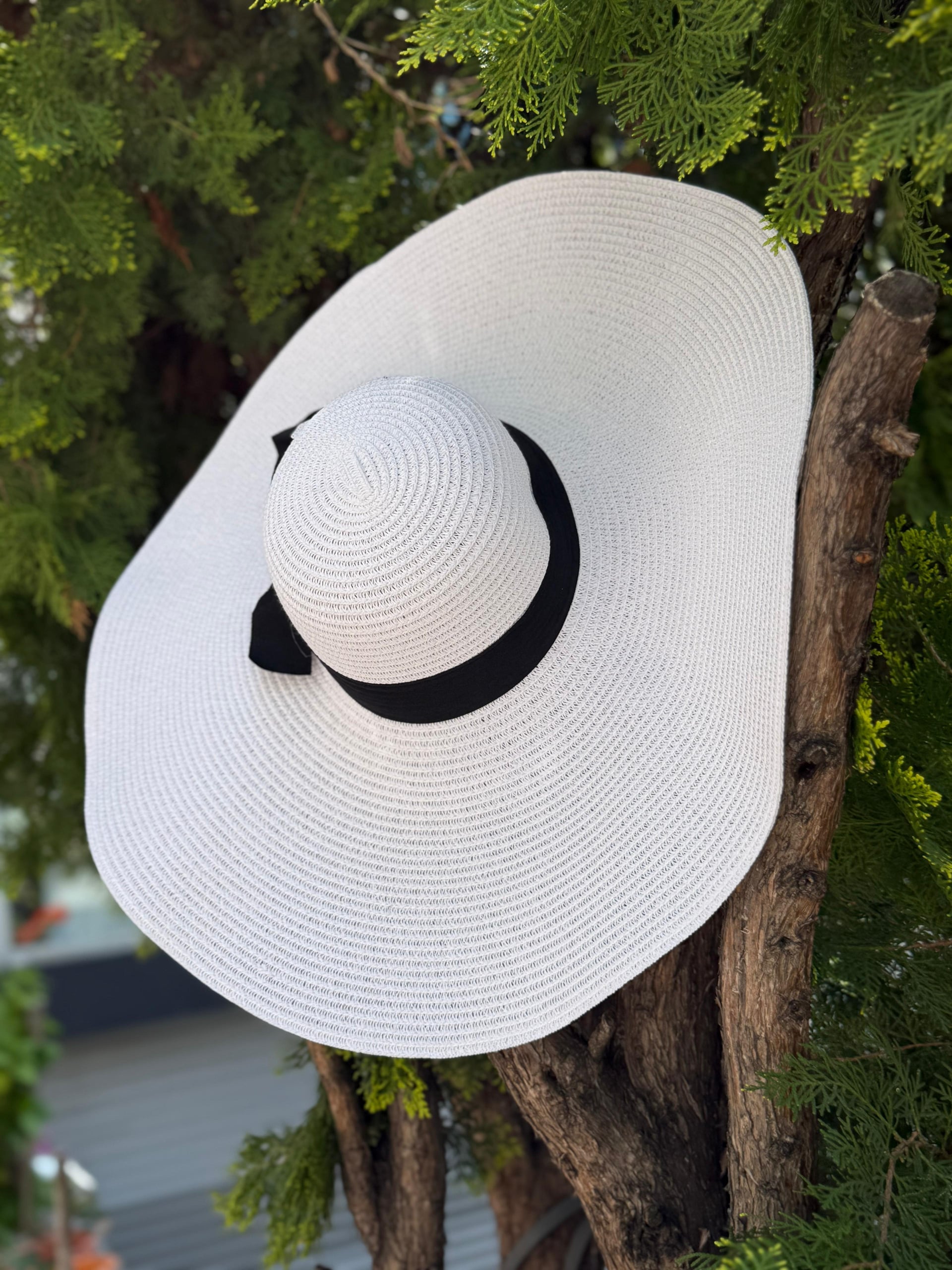 White Straw Wide Brim Hat with Black Ribbon - Nesvay - by Peralane - photo 3