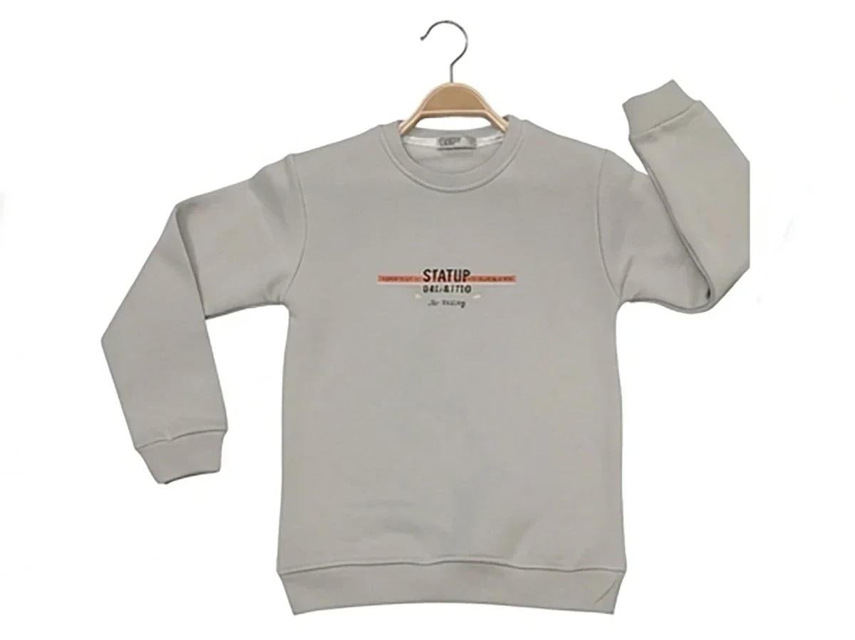 Boys' Printed Fleece Sweatshirt - Light Grey - Tanem Kids - by Peralane