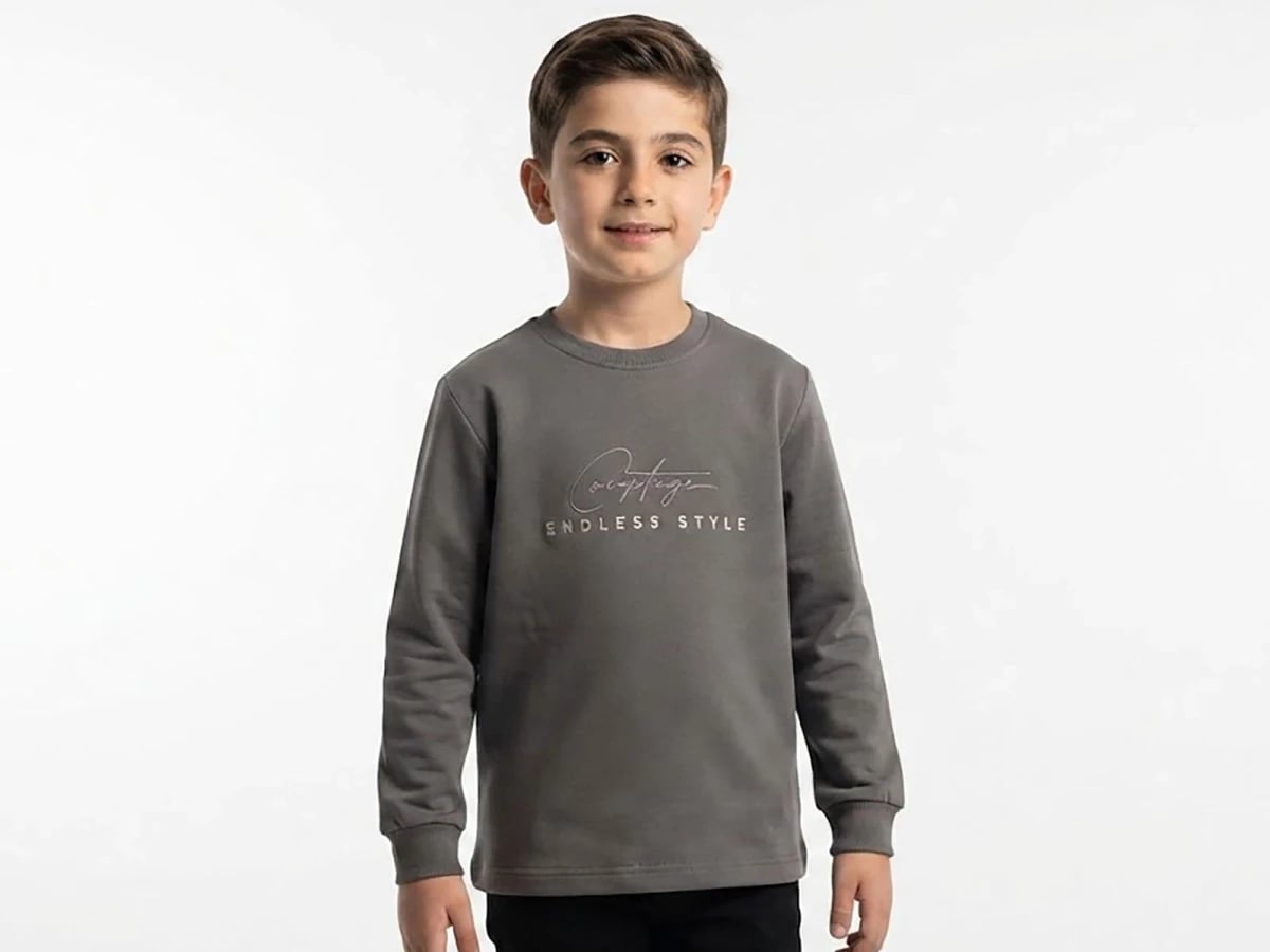 Style Print Boys' Sweatshirt - Grey - Tanem Kids - by Peralane