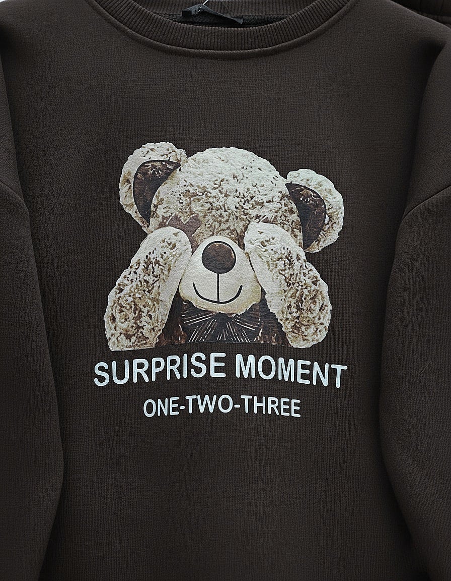 Brown Teddy Bear Print Fleece Sweatshirt and Jogger Set for Women - Podyumplus - by Peralane - photo 4