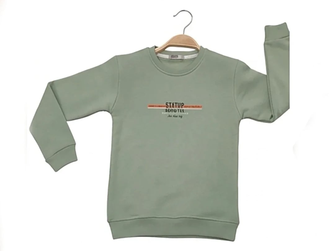 Boys' Printed Fleece Sweatshirt - Sage Green - Tanem Kids - by Peralane