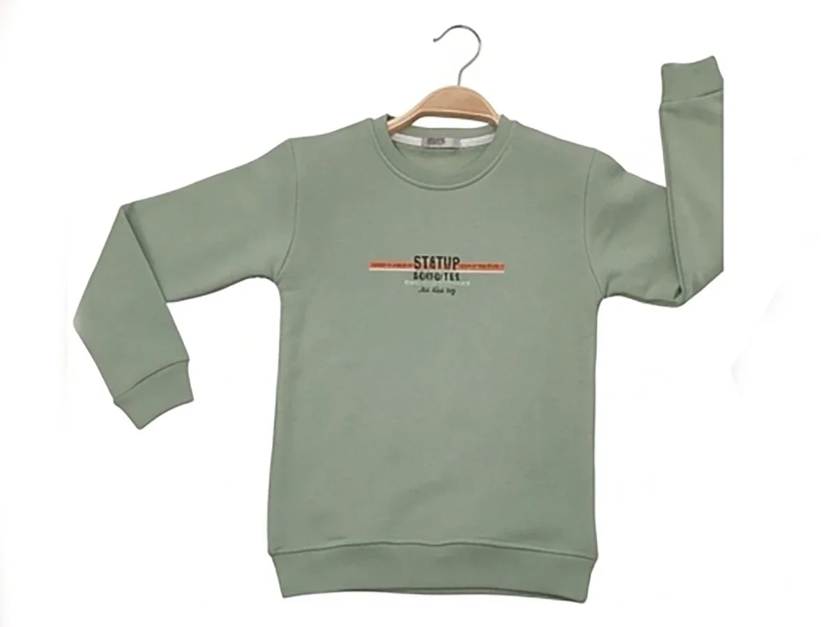 Boys' Printed Fleece Sweatshirt - Sage Green (Pack of 4) - Tanem Kids - by Peralane